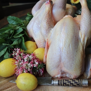 Grassland Poultry Whole Chickens ($20/kg)